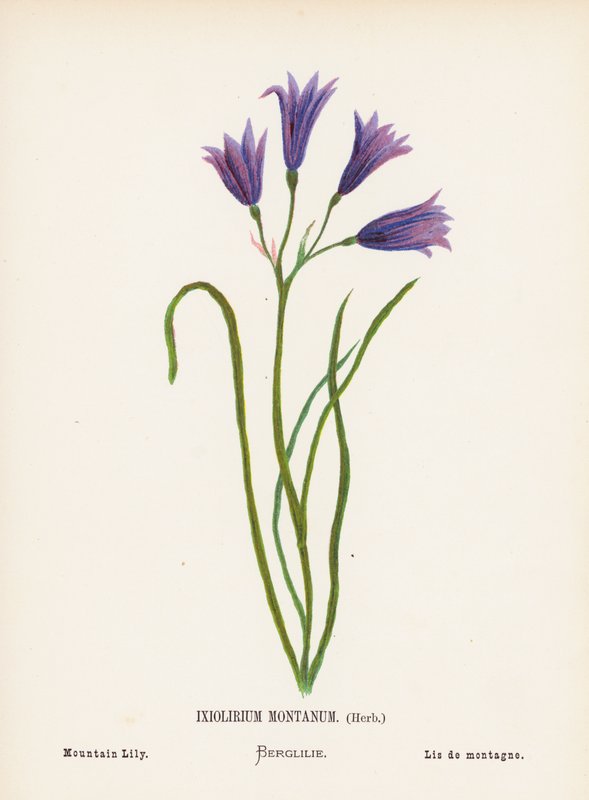  av Hannah Zeller