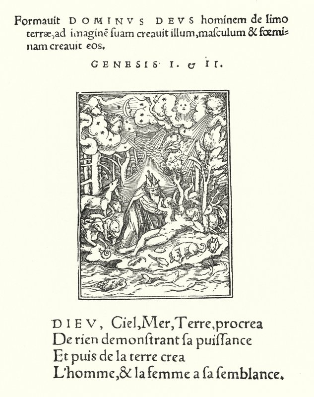 Skapelsen (gravering) av Hans (after) Holbein the Younger
