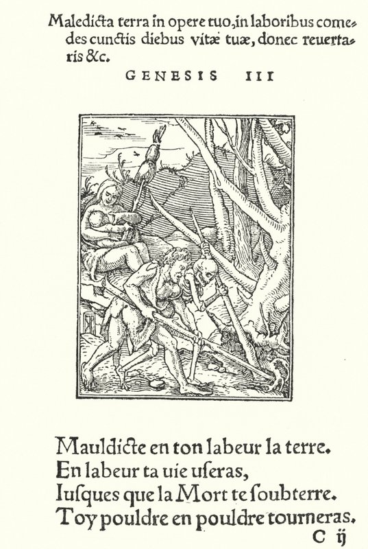 Forbannelsen på jorden og på mennesket (gravering) av Hans (after) Holbein the Younger