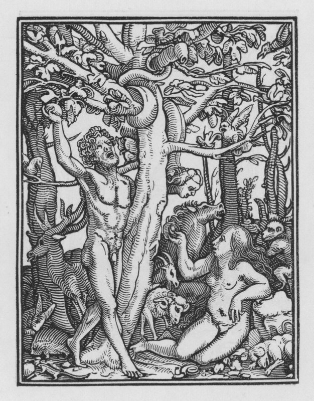 Holbein