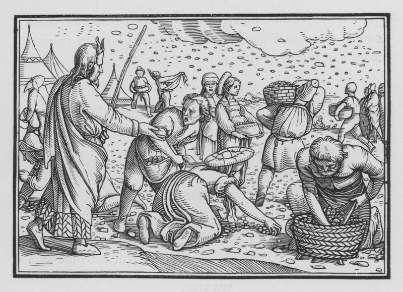 Israelittene murrer for mangel på brød, Exodus XVI, 4 av Hans after Holbein the Younger