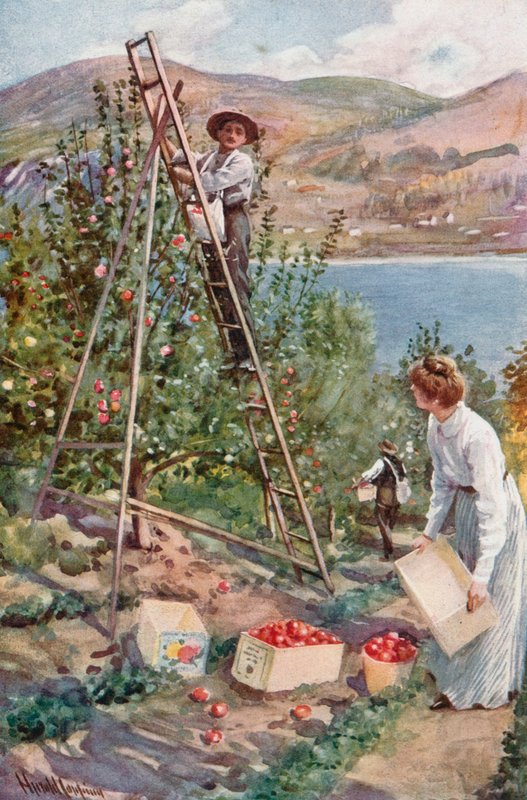En Fruit Ranch i Nelson, British Columbia av Harold Copping