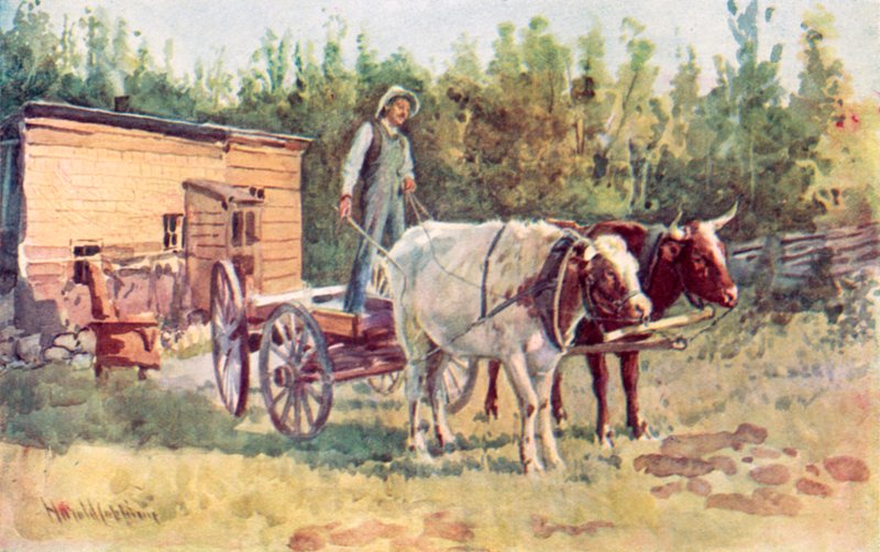 En ungkarshytte og hans lag med okser av Harold Copping