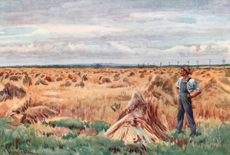 Langs hvetefeltene i Manitoba av Harold Copping
