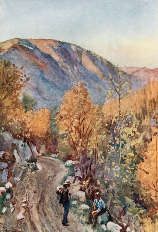 Mount Nelson av Harold Copping