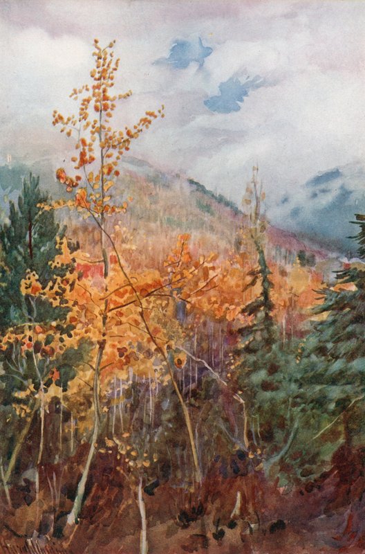 På en fjellside nær Nelson, British Columbia av Harold Copping