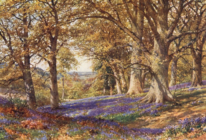  av Harold Sutton Palmer