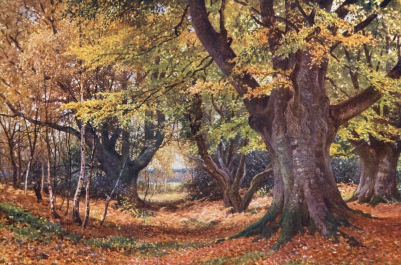  av Harold Sutton Palmer