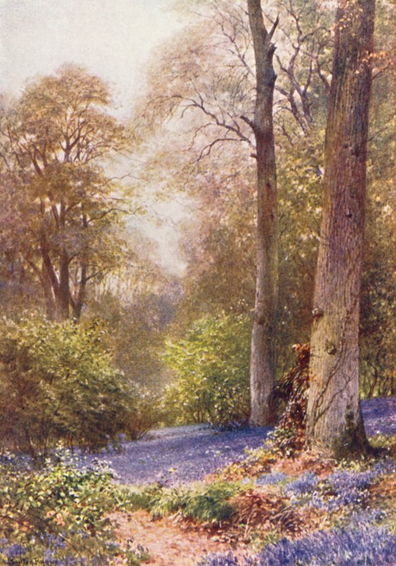  av Harold Sutton Palmer
