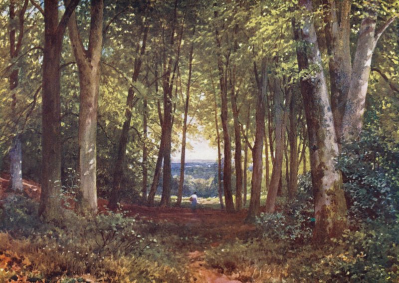  av Harold Sutton Palmer