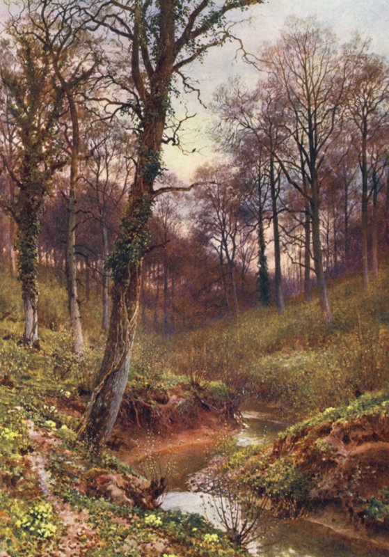 av Harold Sutton Palmer