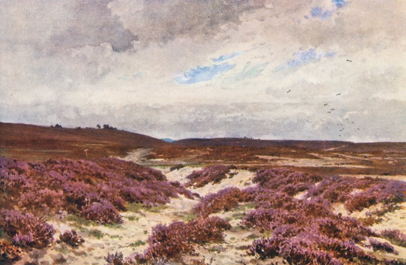  av Harold Sutton Palmer
