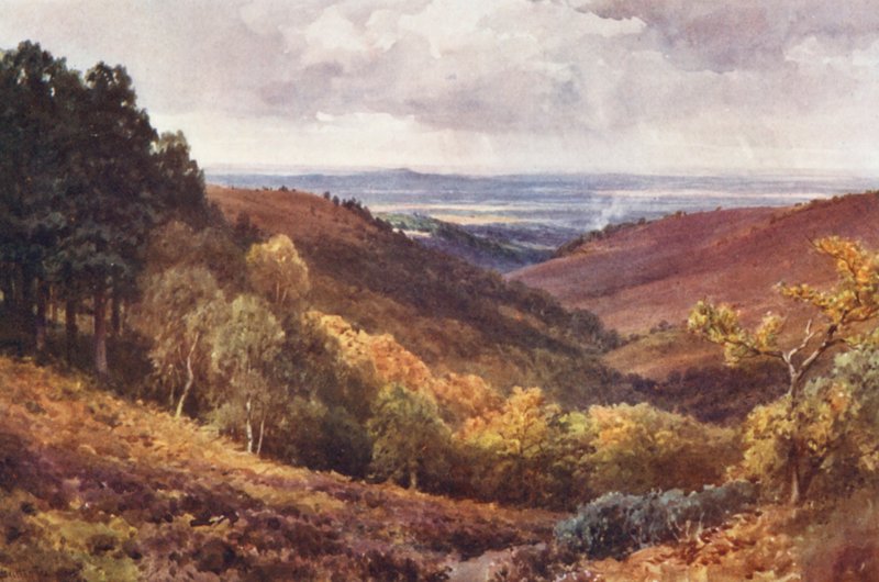  av Harold Sutton Palmer