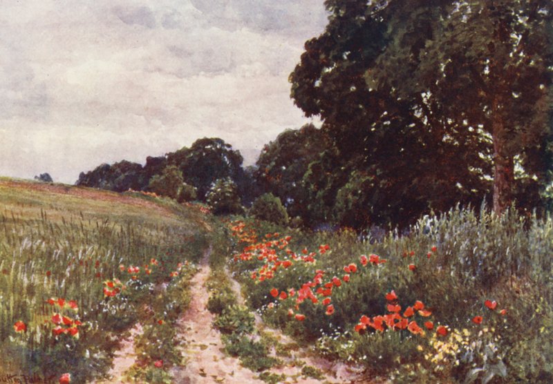  av Harold Sutton Palmer