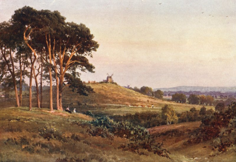  av Harold Sutton Palmer