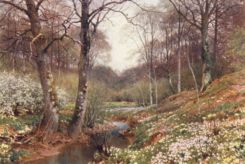  av Harold Sutton Palmer