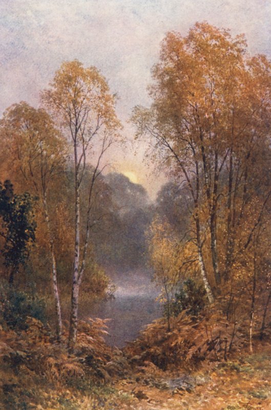  av Harold Sutton Palmer