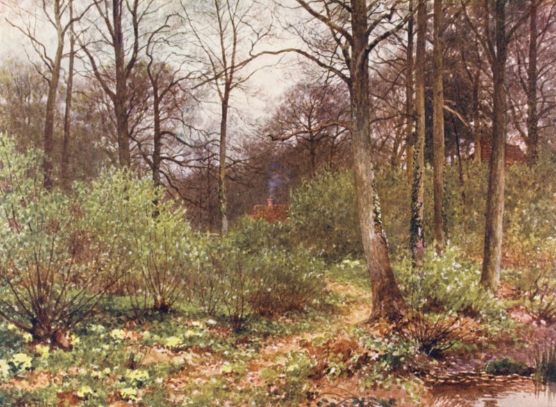  av Harold Sutton Palmer