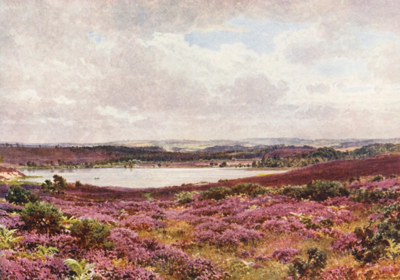  av Harold Sutton Palmer