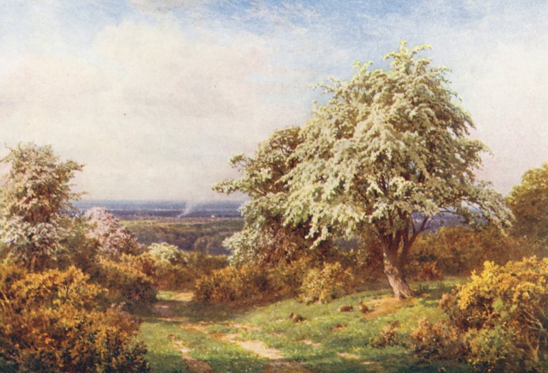  av Harold Sutton Palmer