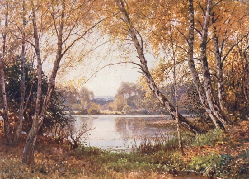  av Harold Sutton Palmer