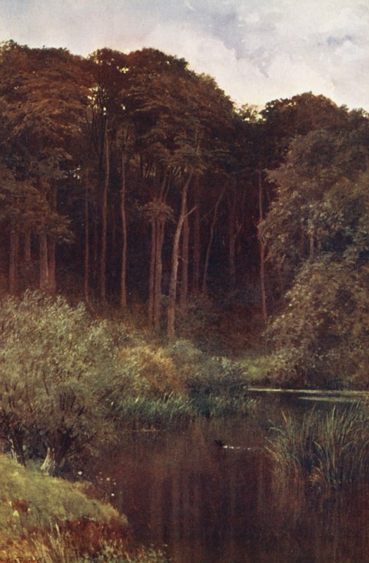  av Harold Sutton Palmer