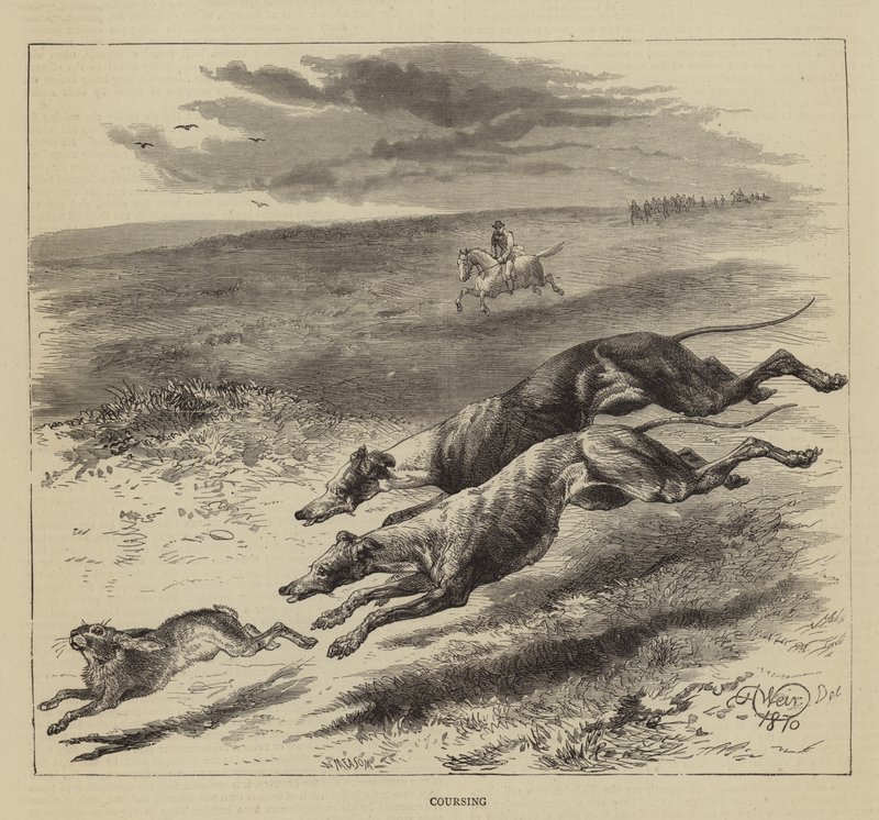 Kursing av Harrison William Weir