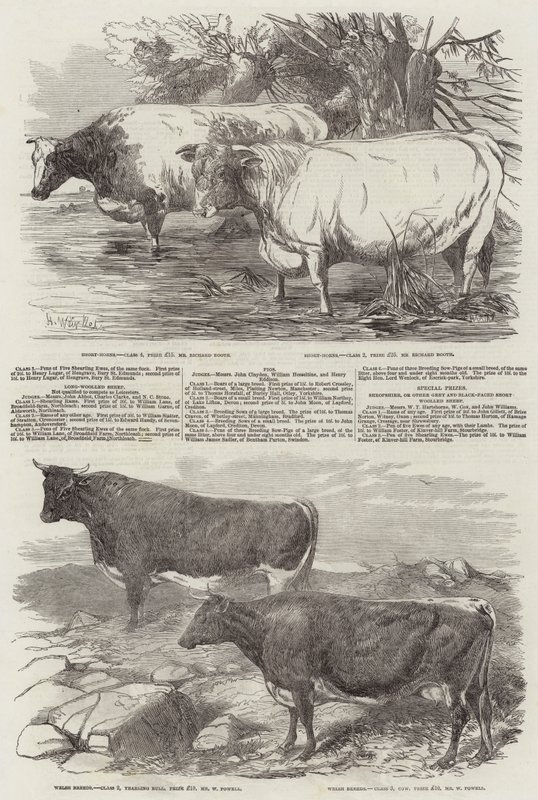 Utstilling av Royal Agricultural Society of England av Harrison William Weir