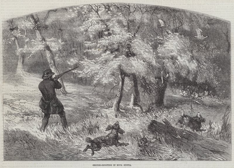 Rypeskyting i Nova Scotia av Harrison William Weir