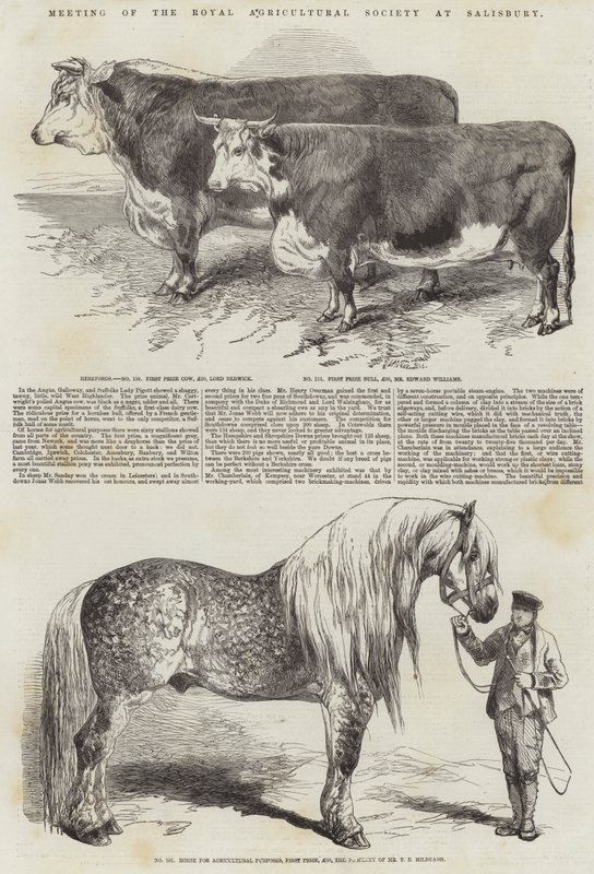 Møte i Royal Agricultural Society i Salisbury av Harrison William Weir