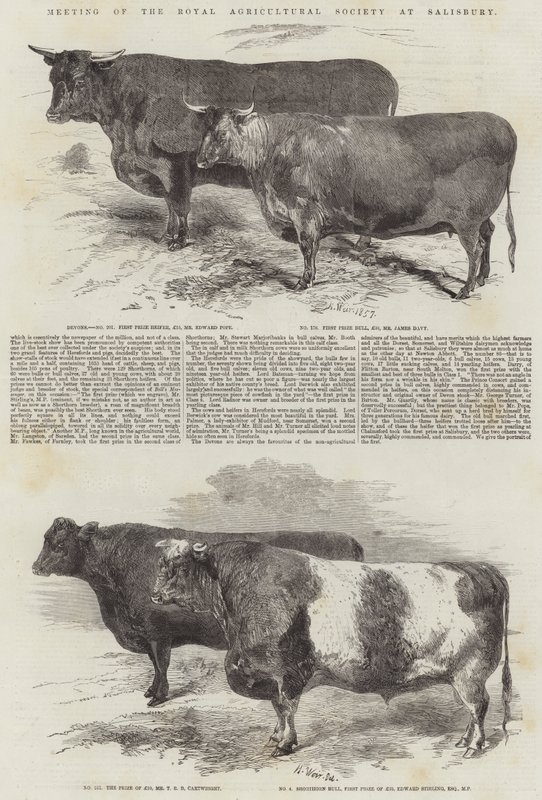 Møte i Royal Agricultural Society i Salisbury av Harrison William Weir