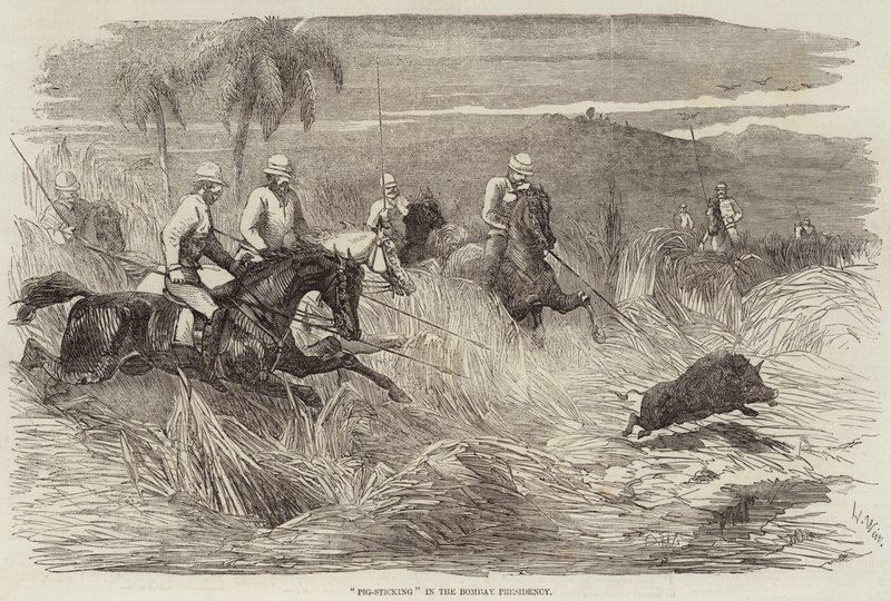 Grisestikking i presidentskapet i Bombay av Harrison William Weir