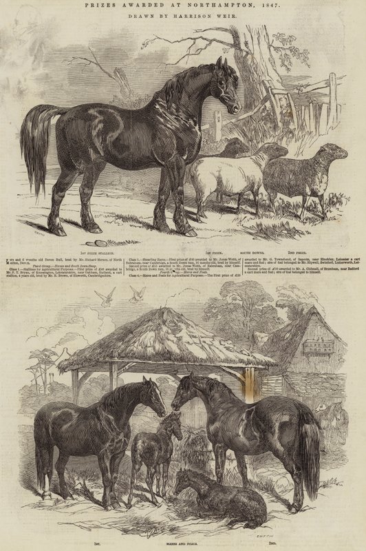 Priser delt ut i Northampton, 1847 av Harrison William Weir