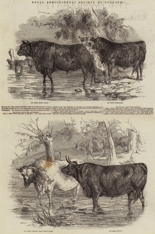 Royal Agricultural Society of England av Harrison William Weir