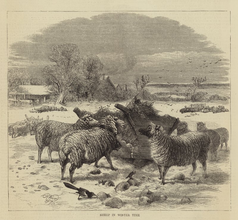 Sauer om vinteren av Harrison William Weir