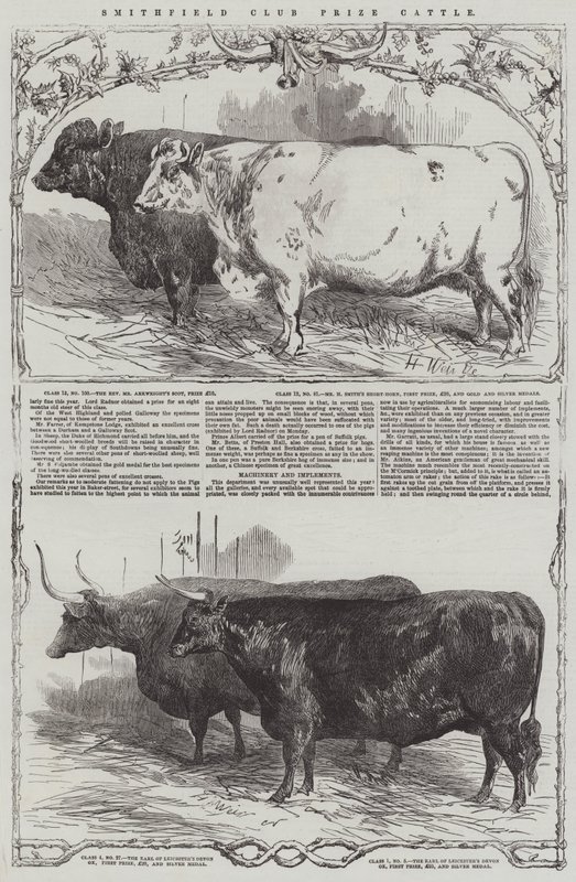 Smithfield Club Prize Storfe av Harrison William Weir