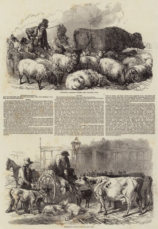 Smithfield Market av Harrison William Weir