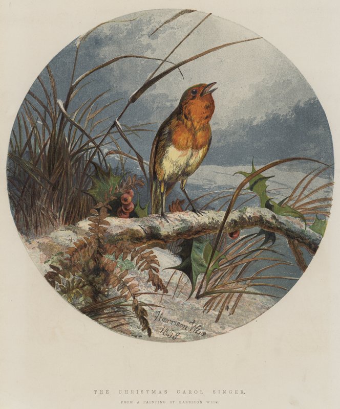 The Christmas Carol Singer (chromolitho) av Harrison William Weir