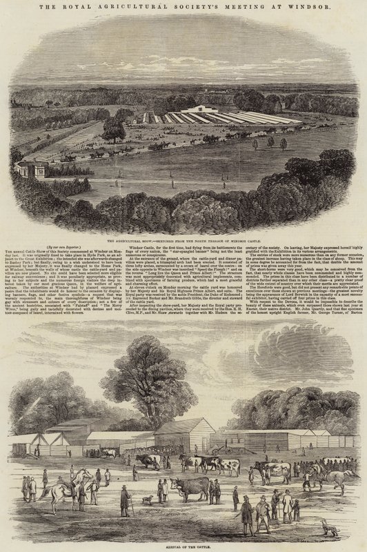 The Royal Agricultural Societys møte i Windsor av Harrison William Weir