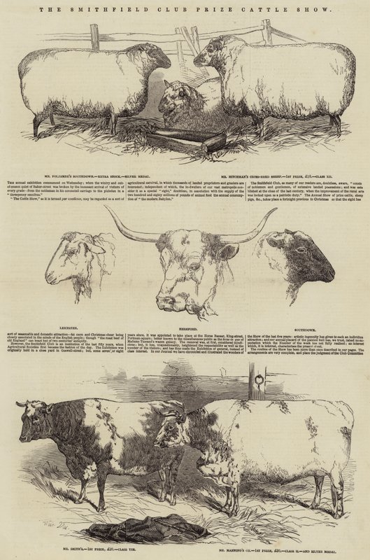 The Smithfield Club Prize Cattle Show av Harrison William Weir