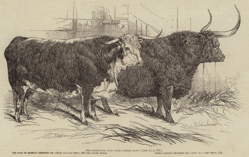 The Smithfield Club Prize Cattle Show av Harrison William Weir