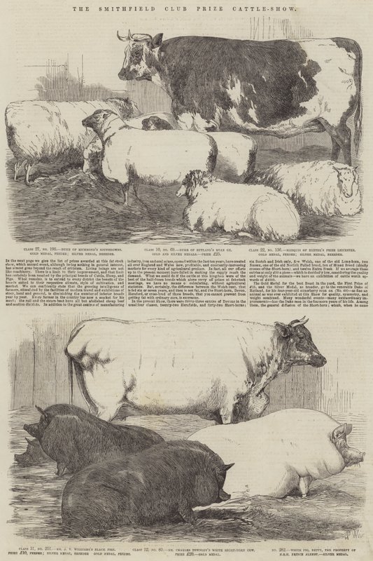 The Smithfield Club Prize Cattle-Show av Harrison William Weir
