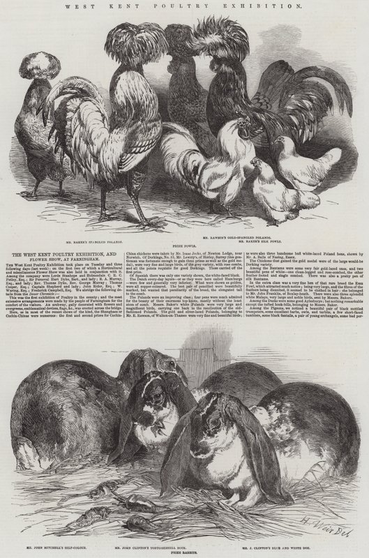 West Kent Poultry Exhibition av Harrison William Weir