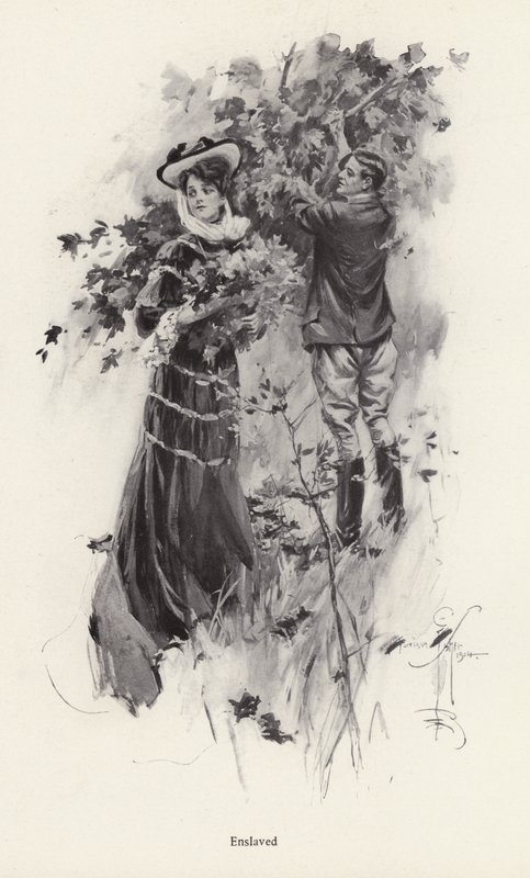 Kvinne plukker blomster med en mannlig beundrer (litho) av Harrison Fisher