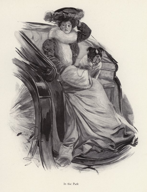 Kvinne sitter i en vogn med hunden sin (litho) av Harrison Fisher