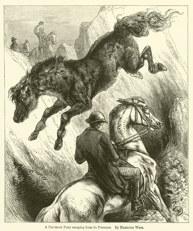 En Dartmoor-ponni rømmer fra sine forfølgere av Harrison William Weir