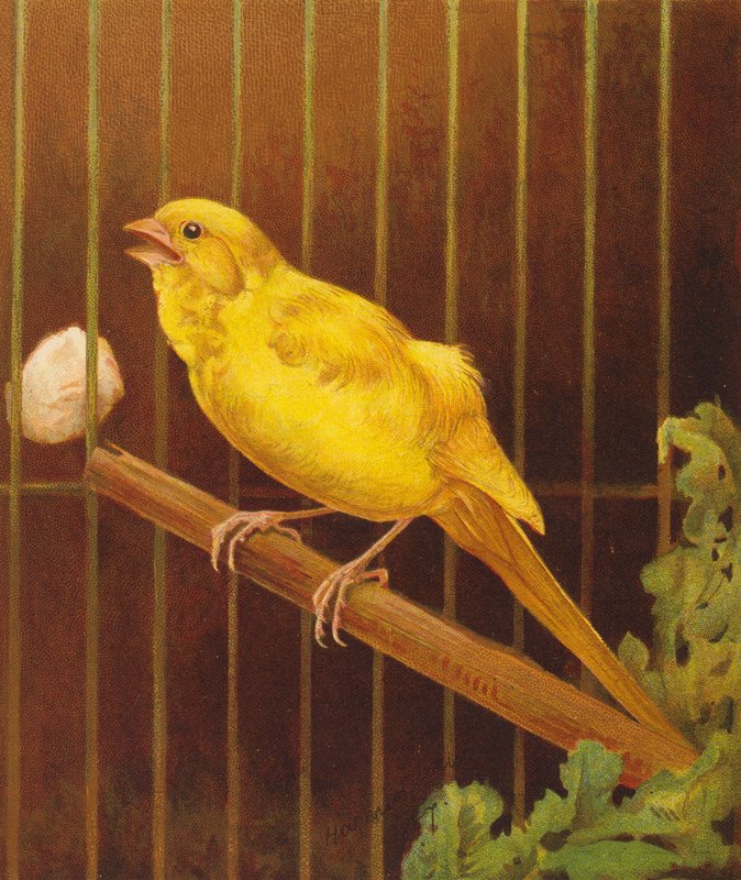  av Harrison William Weir