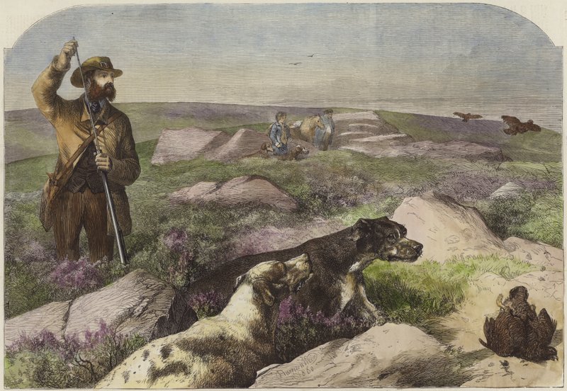 Rypeskyting av Harrison William Weir