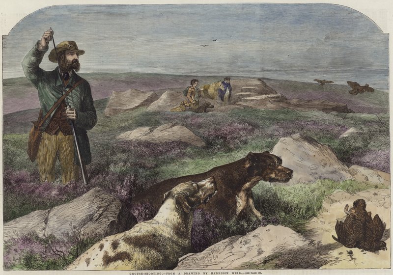 Rypeskyting av Harrison William Weir