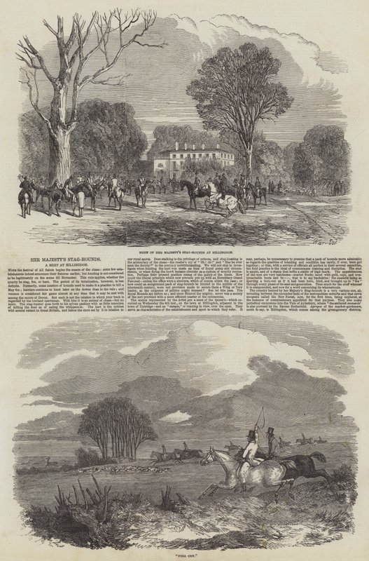 Hennes Majestets Stag-Hounds på Hillingdon av Harrison William Weir